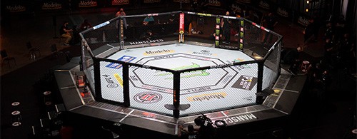 UFC Apex Gallery